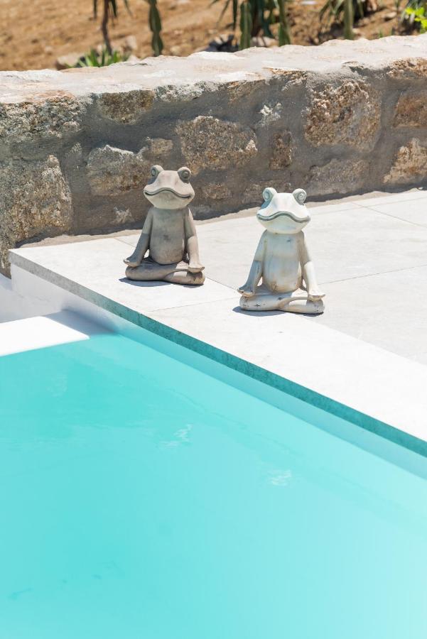 Dioni Villa Mykonos Strand Paraga Exterior foto